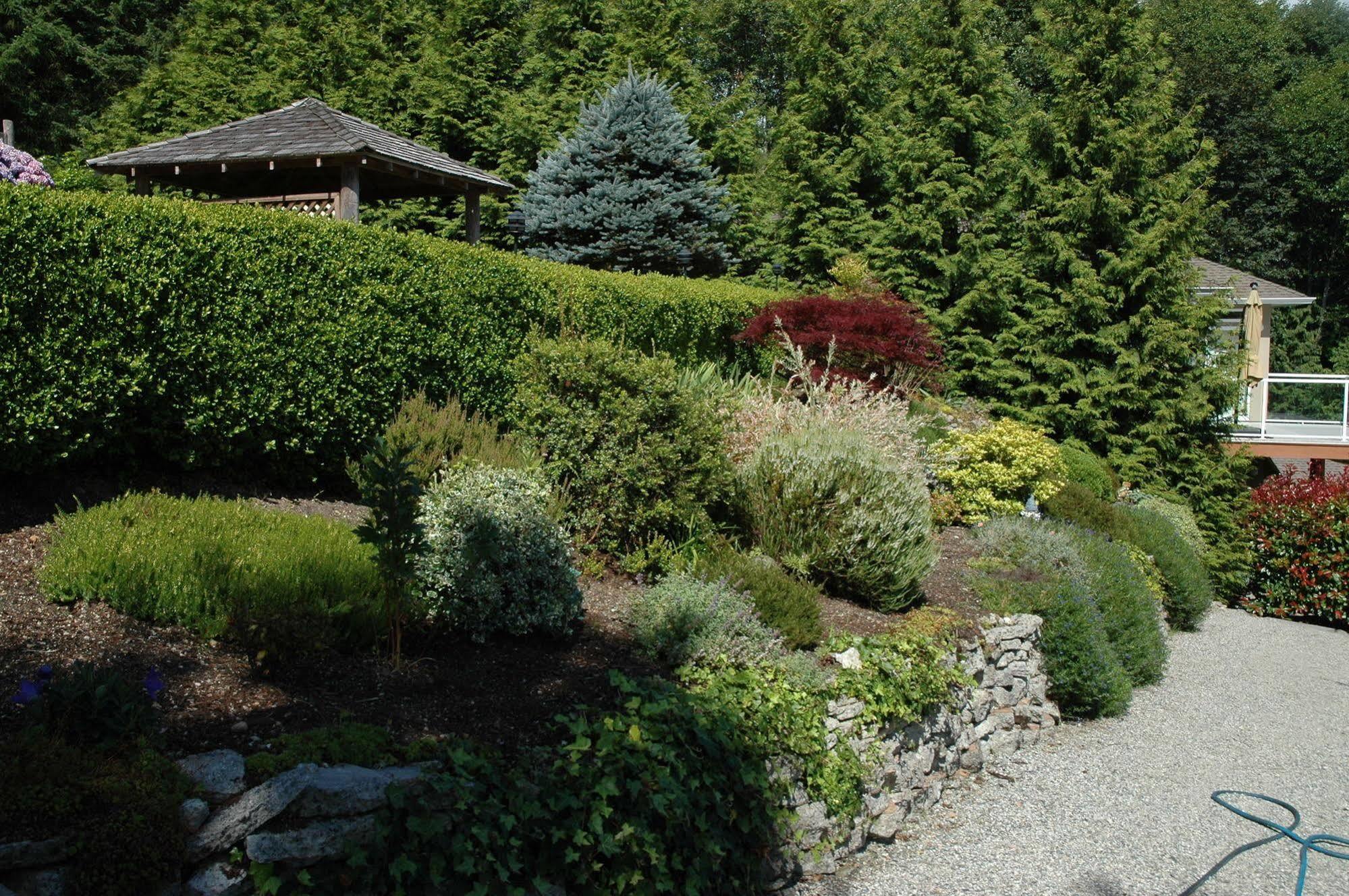 At The Shore Bed And Breakfast Sechelt Exterior photo